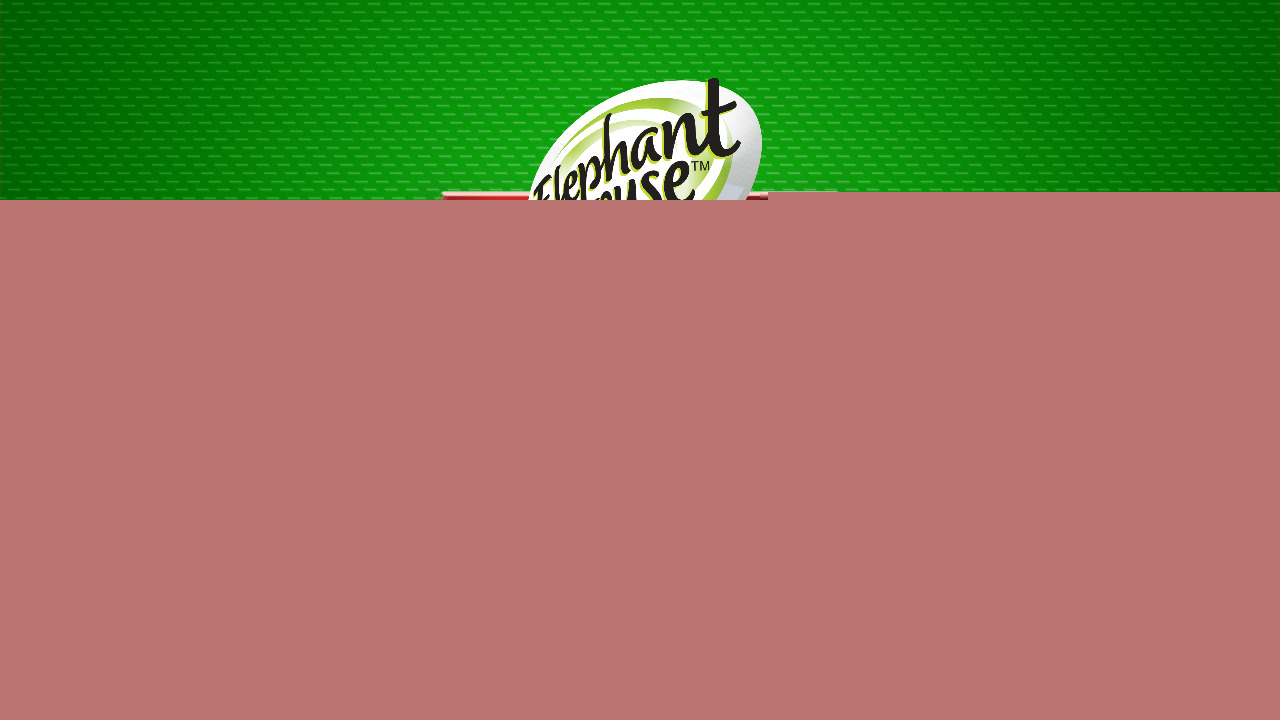 Elephant House Superhero - Image 8